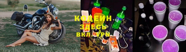 прущие грибы Богданович