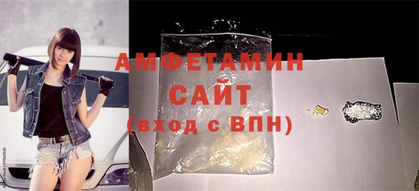 прущие грибы Богданович