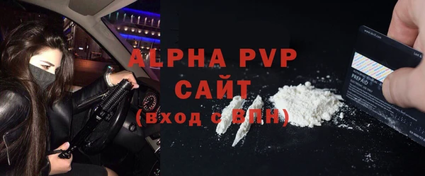 прущие грибы Богданович