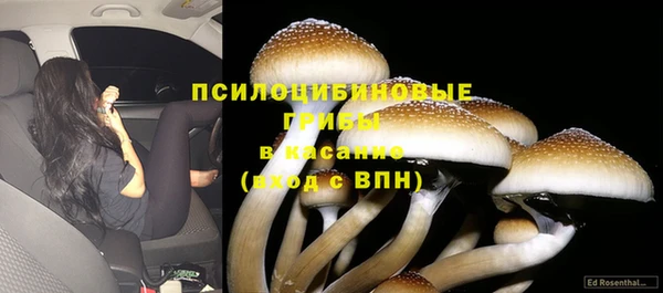 спайс Богородицк