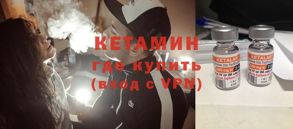 прущие грибы Богданович