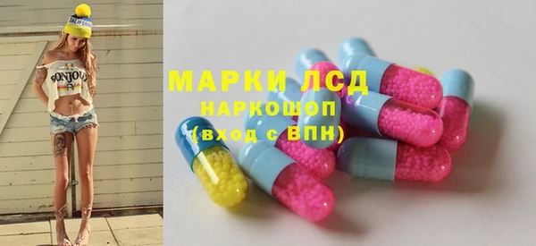 прущие грибы Богданович