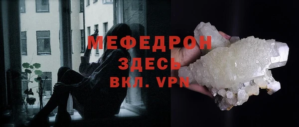 прущие грибы Богданович