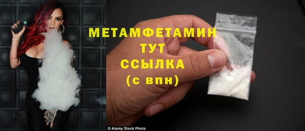 прущие грибы Богданович