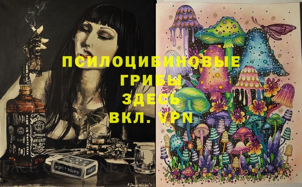прущие грибы Богданович