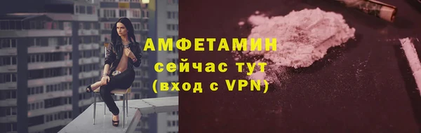 прущие грибы Богданович
