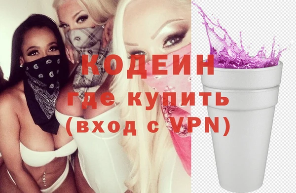 прущие грибы Богданович