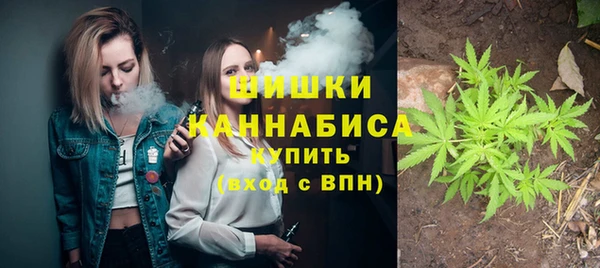 спайс Богородицк