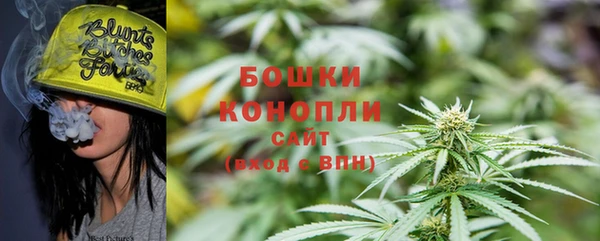 прущие грибы Богданович