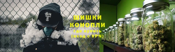 прущие грибы Богданович
